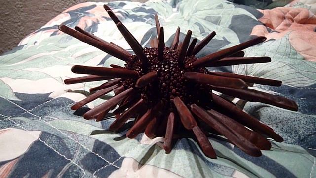 неведомаяхрень смотреть онлайн