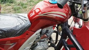 Matatsikil narxlari | 19.03.2021 |  SHAHRISABZ SHAHRI | muravey narxlari | pul topar muraveylar |