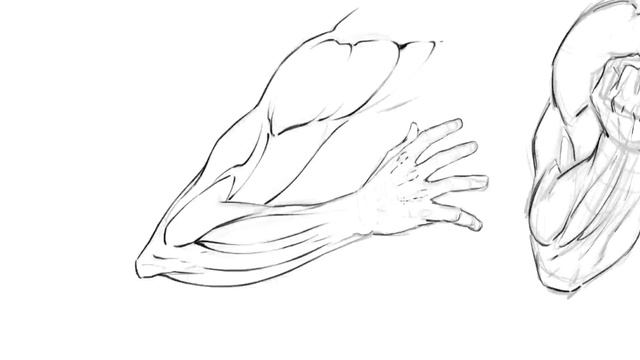 Lesson 15. Drawing Various Arm Poses Practice Activity