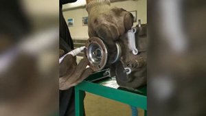 Замена сцепления и подшипников в коробке передач на Шевроле Нива