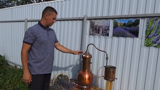 Уникальное лавандовое поле под Воронежем