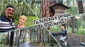 #тюмень. Гилевская роща в Тюмени! Райское место для тюменцев и для туристов! Сказочная благодать!