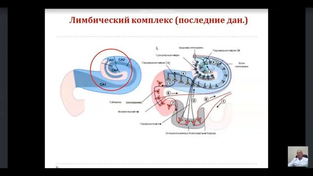 Надсегментарные расстройства. Часть1.mp4
