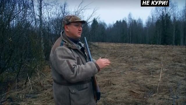 Охота на вальдшнепа на тяге. Весенняя тяга вальдшнепа - 2021г смотреть онлайн