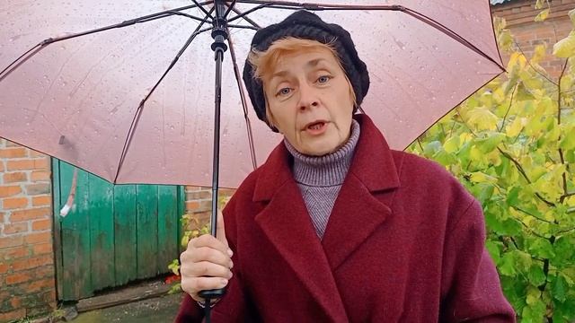 Утро и дождик, Славянск 26 октября 2022 смотреть онлайн