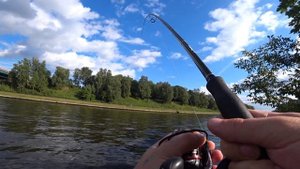 Рыбалка на Канале имени Москвы 2020. Ловля судака и берша.