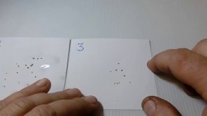 Размножение голубики семенами