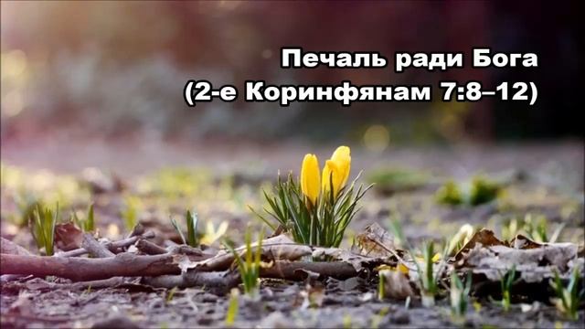 Тихое время с Живой Жизнью: 2 Коринфянам 7:8–16 (14032018) смотреть онлайн