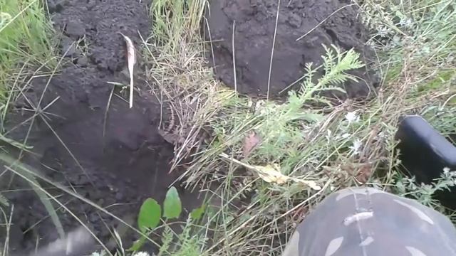 Прогулка с АСЕ 250. Будни кладоискателя. смотреть онлайн