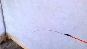 Карбоновый кивок,ловля рипуса