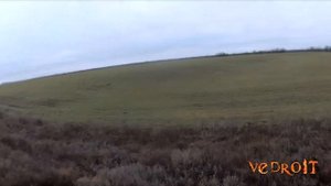 ОХОТА НА ЗАЙЦА 2019-2020. Все зайцы сезона. Лучшие моменты, выстрелы. Охота в Ростовской области.