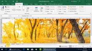 Microsoft Excel 2019: Adding Worksheet Background