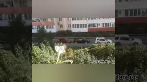 БРАЖНИК ЯЗЫКАН – «КОЛИБРИ» НА ДАЧНОМ УЧАСТКЕ
