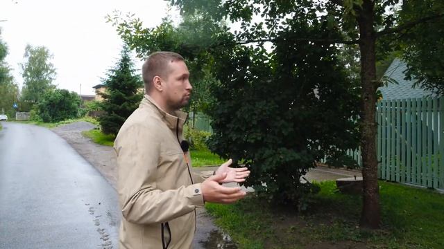 Какой забор стоит у твоего соседа? смотреть онлайн