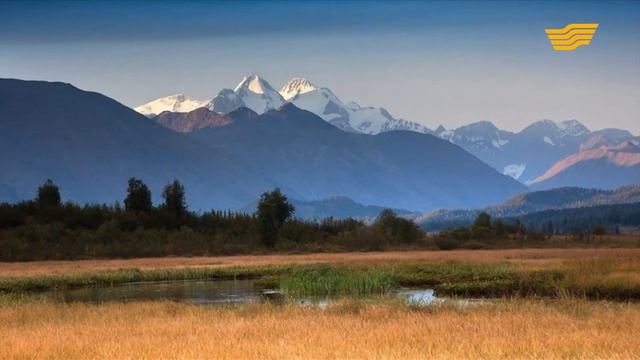 «Самопознание». Как жить в гармонии с окружающим миром? смотреть онлайн