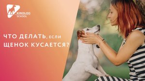 Что делать, если щенок кусается?