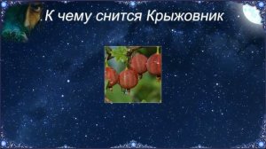 К чему снится Крыжовник (Сонник)