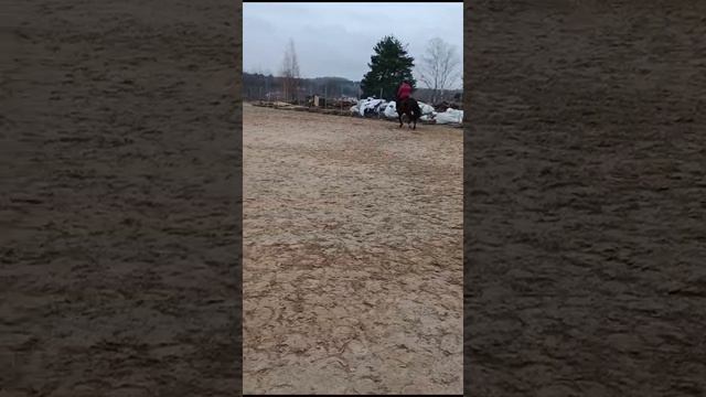 VID-20231115-WA0039.mp4
