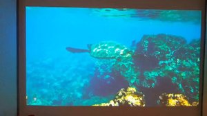 Тест-демонстрация Epson EH-TW5600 клиенту