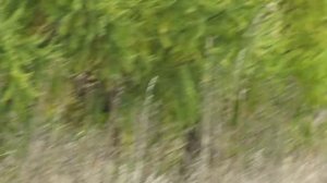 У Суховского озера(Кемерово)