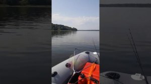 мой новый комплект: Фрегат 330с и Golfstream 9.9