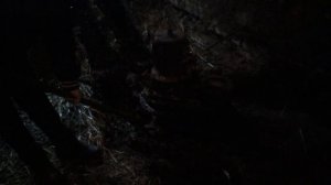 работа редуктор ТСН 02 102 (1).mp4