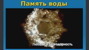Что такое Гомеопатия и Память Воды?