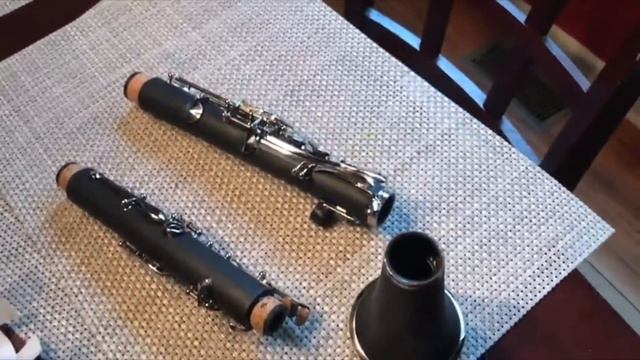 Eastar ECL-300 B Flat Clarinet Review & How To Play | Best B Flat Clarinet
