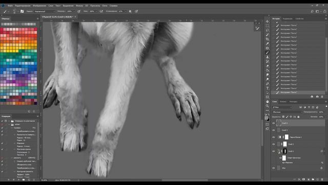 Художественная обработка фото с животным смотреть онлайн