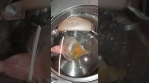 Яйцо Пашот - самый быстрый и простой рецепт!