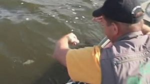 Ловля леща на бортовые удочки