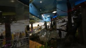 Планета железяка мкад Москва