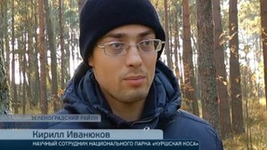 Кабан напал на человека