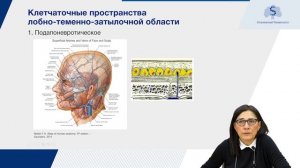 Функциональная анатомия и биомеханика мышц головы и шеи