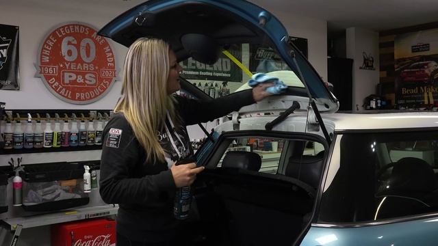 Glass Cleaning with Sydni using P&S True Vue! смотреть онлайн