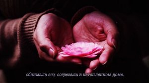 Сто часов счастья | Вероника Тушнова