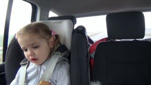 ВЛОГ Едем в Киев небольшая рубрика вопрос - ответ от Кати кормит собачек VLOG fe