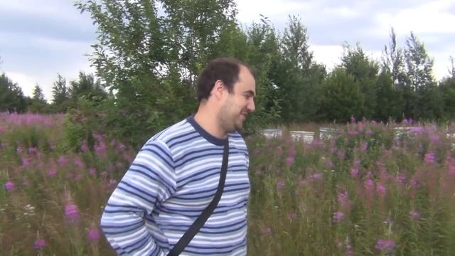 Пчелы видео. Осмотр пчел на кочевке. Состояние цветения гречихи и кипрея (иван-чай)