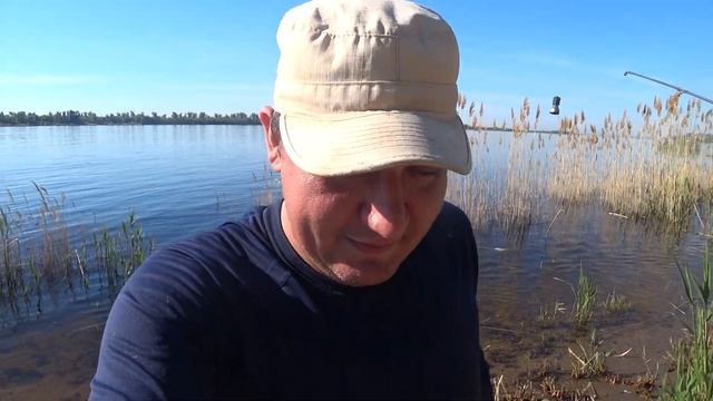 Рыбалка с Берега на Донки Закидушки на Реке Голавль смотреть онлайн