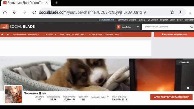 Зоомама Дзен - Обзор канала