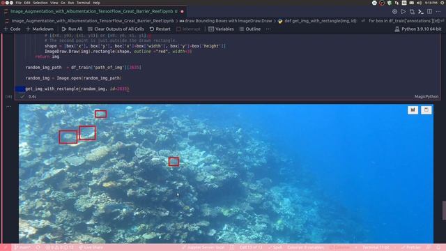 40 - Image Augmentation with Albumentation - Kaggle |TensorFlow Great Barrier Reef | Deep Learning