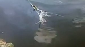 Рыбалка на р.Тускарь