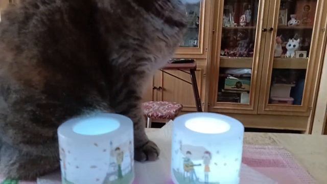 Светильник-ночник Flarx смотреть онлайн