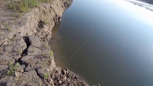 Рыбалка на Иртыше в Конце Августа, Риппа в деле... (часть вторая) #рыбалкаскомфортом #клеваярыбалка