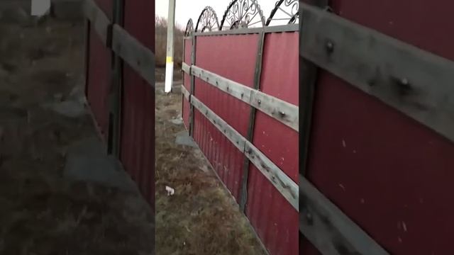 Забор без фундамента #строительство #забор #заборизпрофнастила #профнастил #ворота #shorts