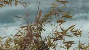 Создание вашей собственной реальности