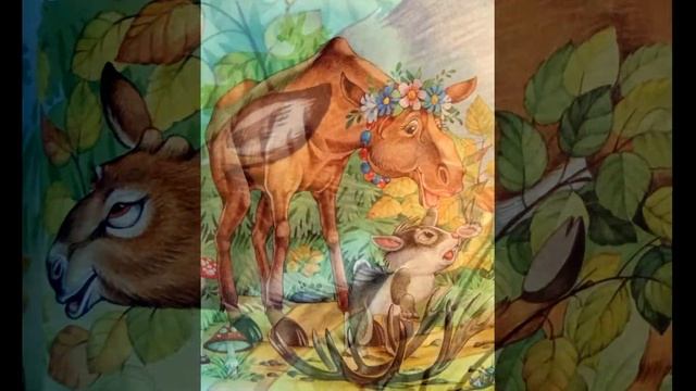 Откуда у зайца длинные уши смотреть онлайн