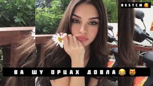 Шуточная Чеченская Новая Песня😂😻Ва Шу Орцах Довла Веана Волуш Вац Хи Чу Веттаг