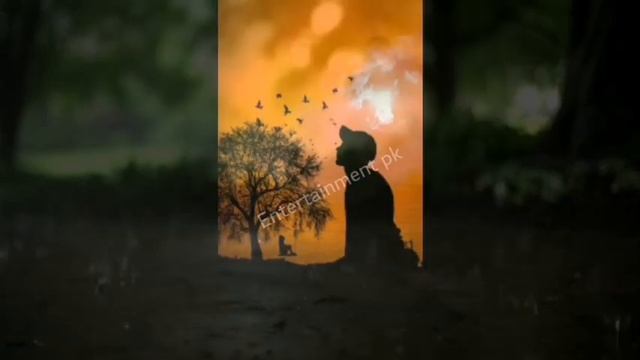 Ishq Ek Dhongh hai Urdu Poetry Stetus Love|Sad Poetry Heart Touching|Poetry Stetus Whatsapp|Poetry смотреть онлайн