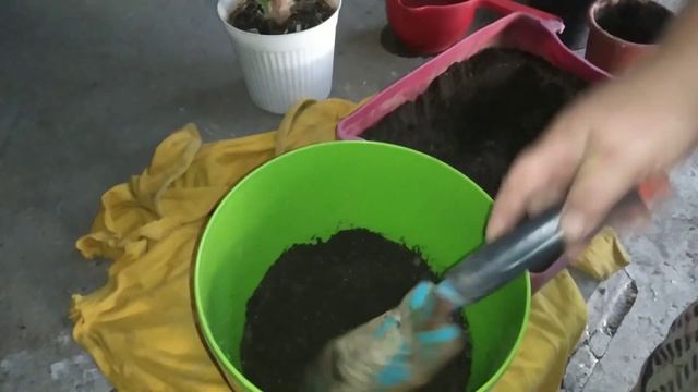 Готовим чан для переработки винограда/Пересадка #влог #село#простаяжизньпростойсемьи